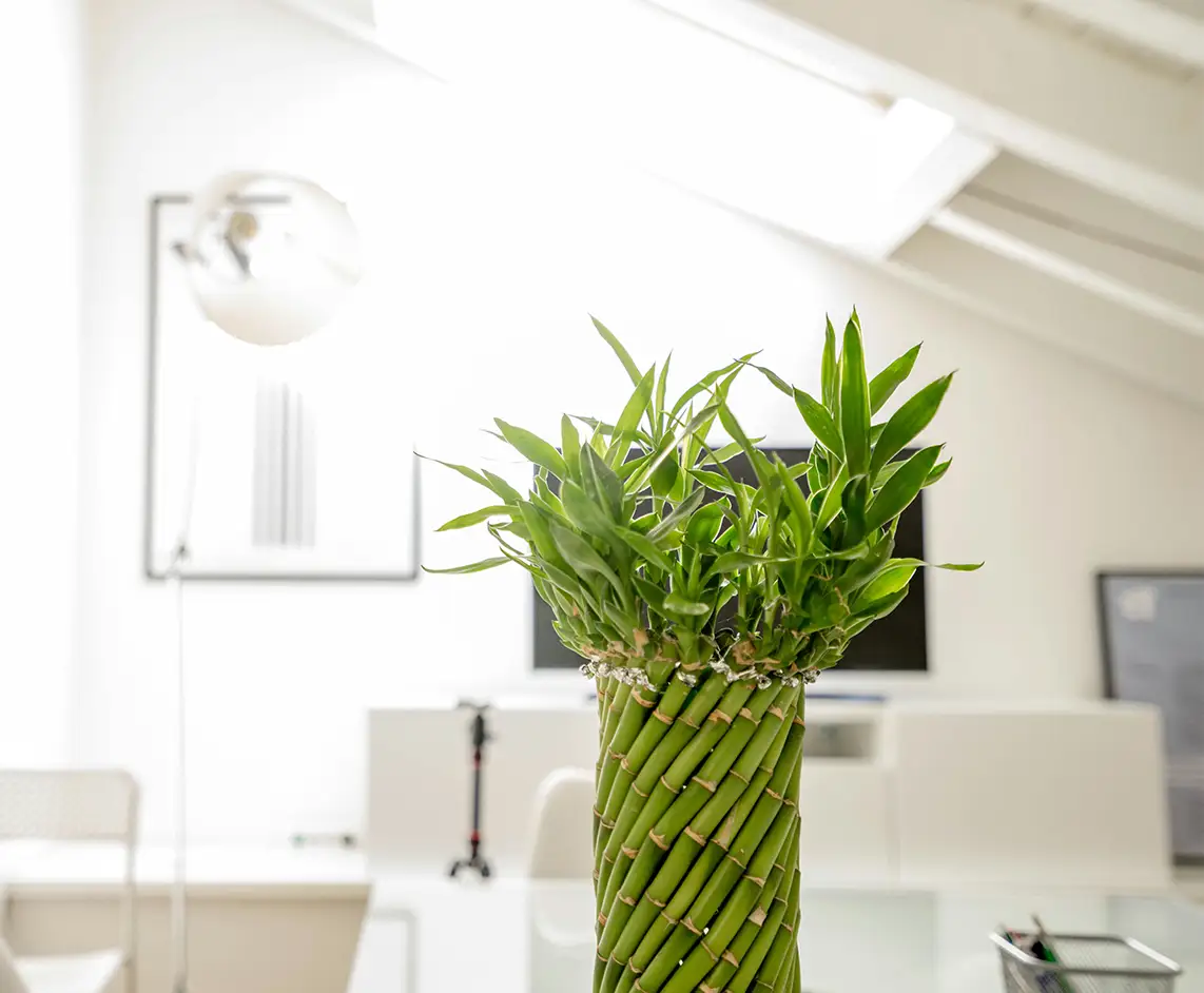 HealthOn Internal Medicine and Primary Care in Newnan, GA